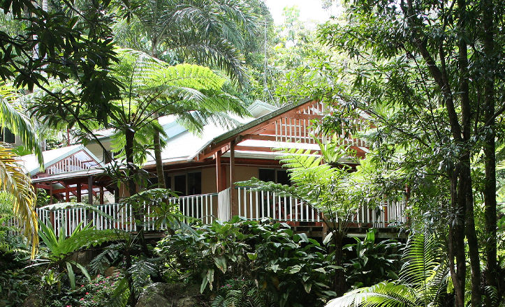Contact Daintree Secrets Rainforest Sanctuary View of the Daintree Secrets holiday home nestled in the tropical rainforest looking towards the spacious back verandah deck