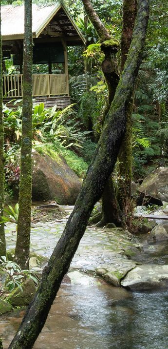 Eco Holiday Rental Overlooking Waterfalls View of the sustainable eco-certified holiday rental home exterior hidden amongst ancient wet tropics wilderness