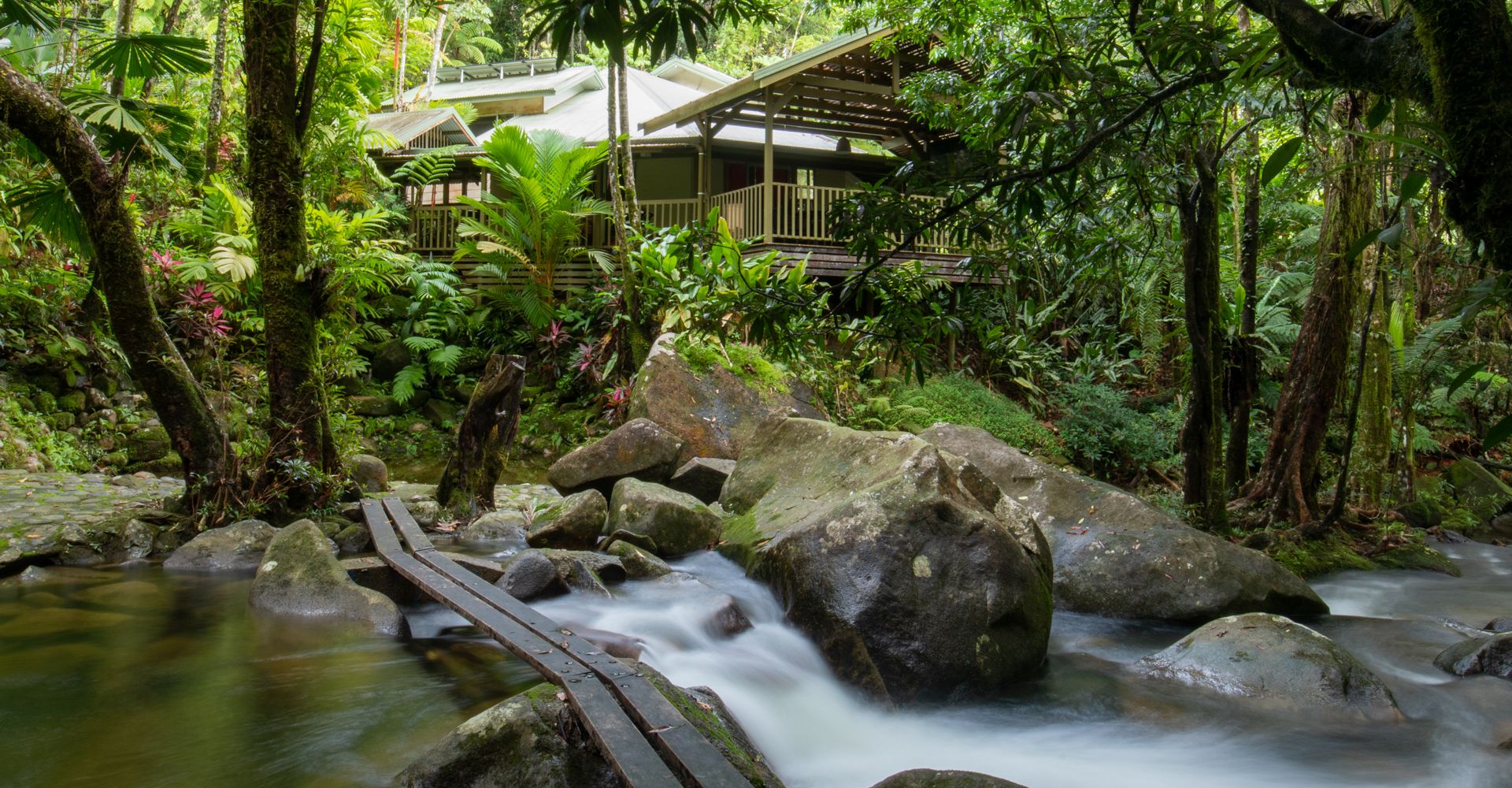 Daintree Secrets Rainforest Holiday Home Scenic view of the elevated Daintree Secrets holiday home and al fresco timber verandah deck from the private freshwater swimming hole and dense surrounding rainforest