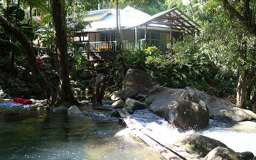 Explore Accommodation Amenities & Layout Rear view of the private holiday home framed by dense rainforest canopy stretching over the creek pool