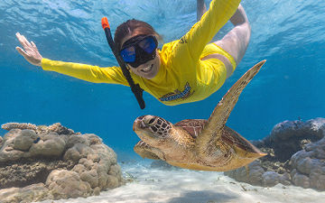 Daintree Tours & Local Activities Guide Snorkelling alongside a wild sea turtle on a Great Barrier Reef tour departing near Cape Tribulation